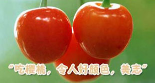 16Nʳ｡̥ؐ 